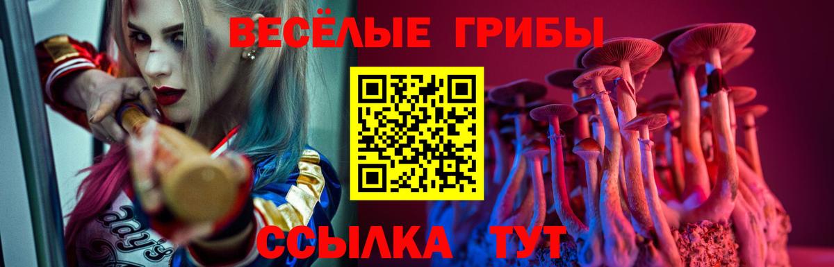 Верхняя Пышма  продажа наркотиков  Галлюциногенные грибы Psilocybine cubensis  Вход с VPN  Галлюциногенные грибы Psilocybine cubensis 